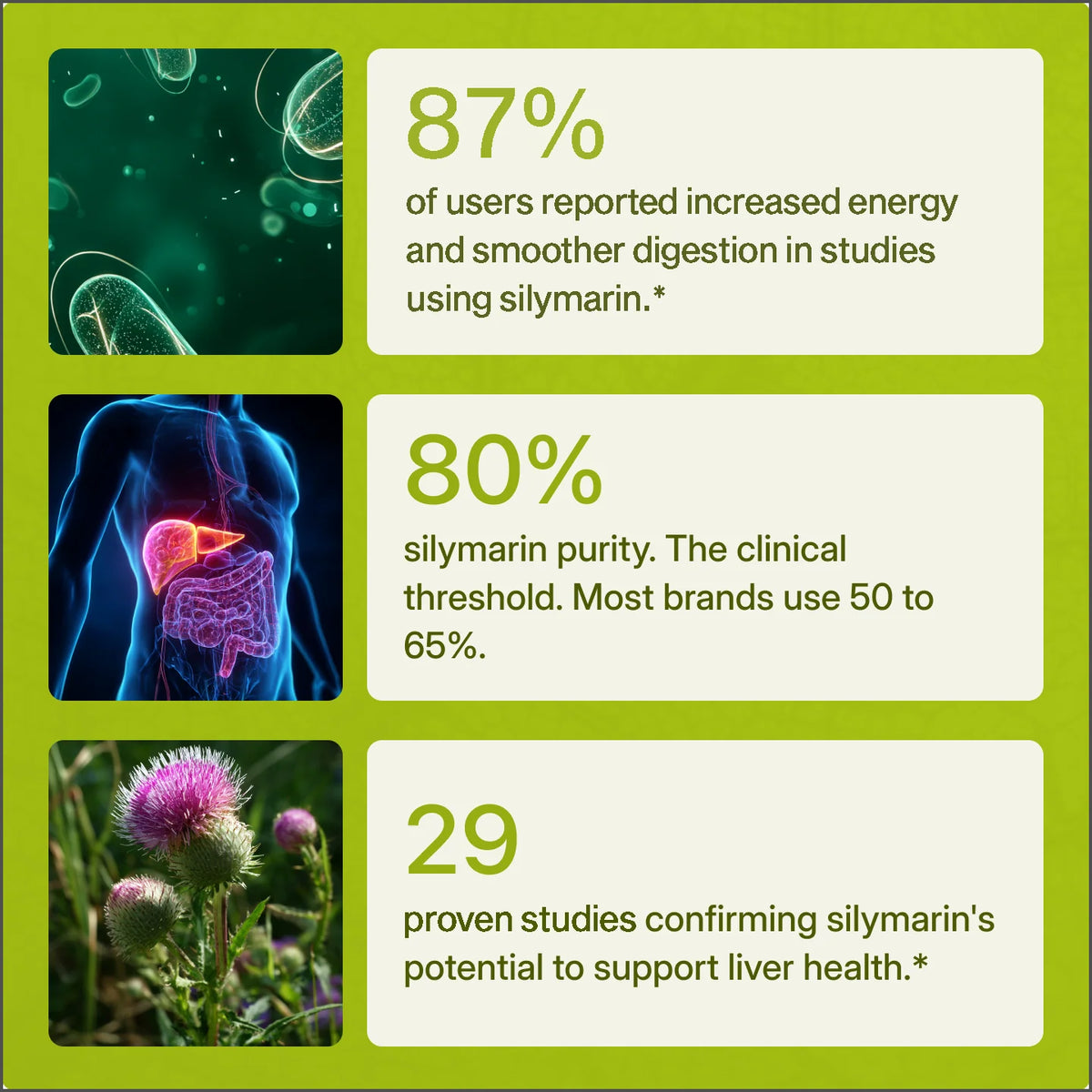 Uvora - Milk Thistle Support